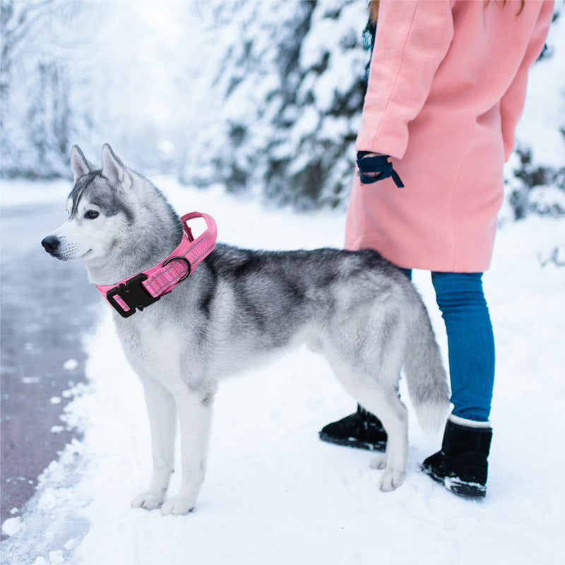 Tactical Dog Collar Your K9 will Love